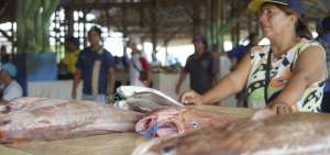 El mercado de Playita M&iacute;a es uno de los sitios donde la ciudadan&iacute;a adquiere los mariscos, cuyo precio, actualmente, var&iacute;a seg&uacute;n las especies.  
