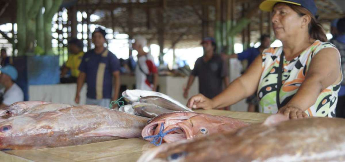El mercado de Playita M&iacute;a es uno de los sitios donde la ciudadan&iacute;a adquiere los mariscos, cuyo precio, actualmente, var&iacute;a seg&uacute;n las especies.  