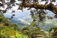 El Chocó Andino es una zona considerada Reserva de la Biósfera y se ubica en el noroccidente de Quito. 