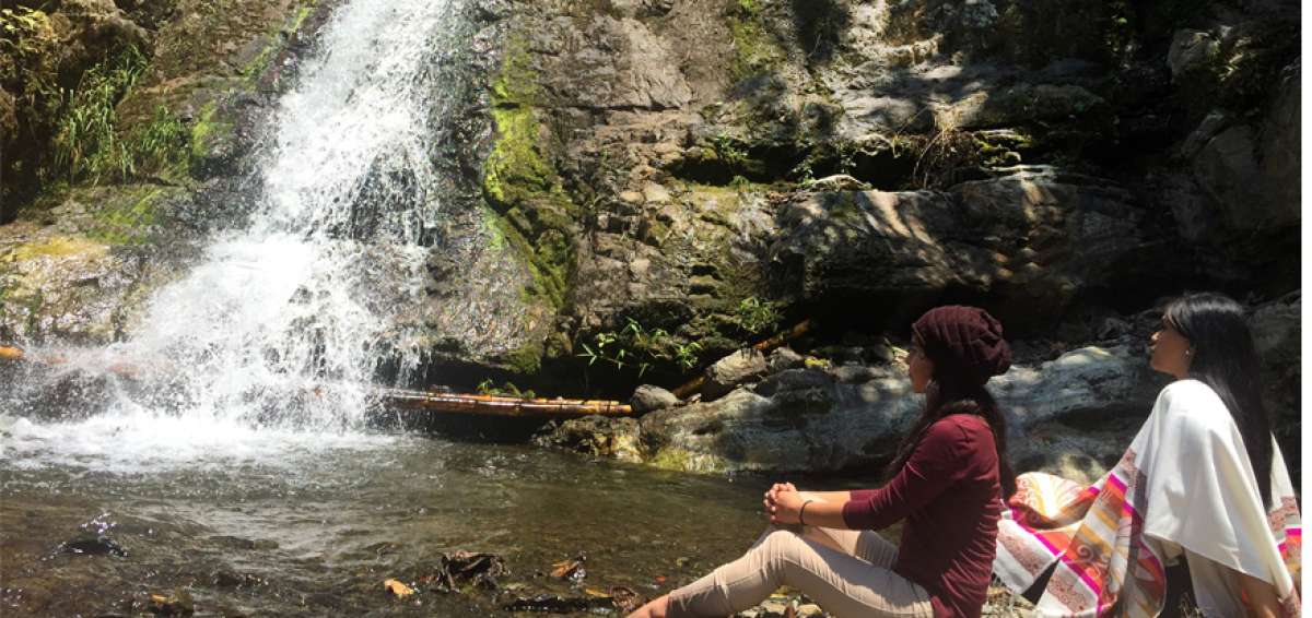 El sonido de las aguas en movimiento favorece la relajaci&oacute;n, por lo que los visitantes de Balsapamba suelen realizar meditaci&oacute;n y yoga.