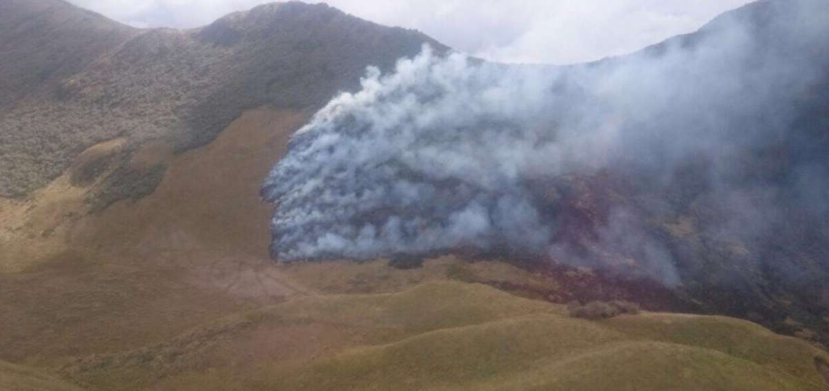 Imagen panor&aacute;mica del incendio.