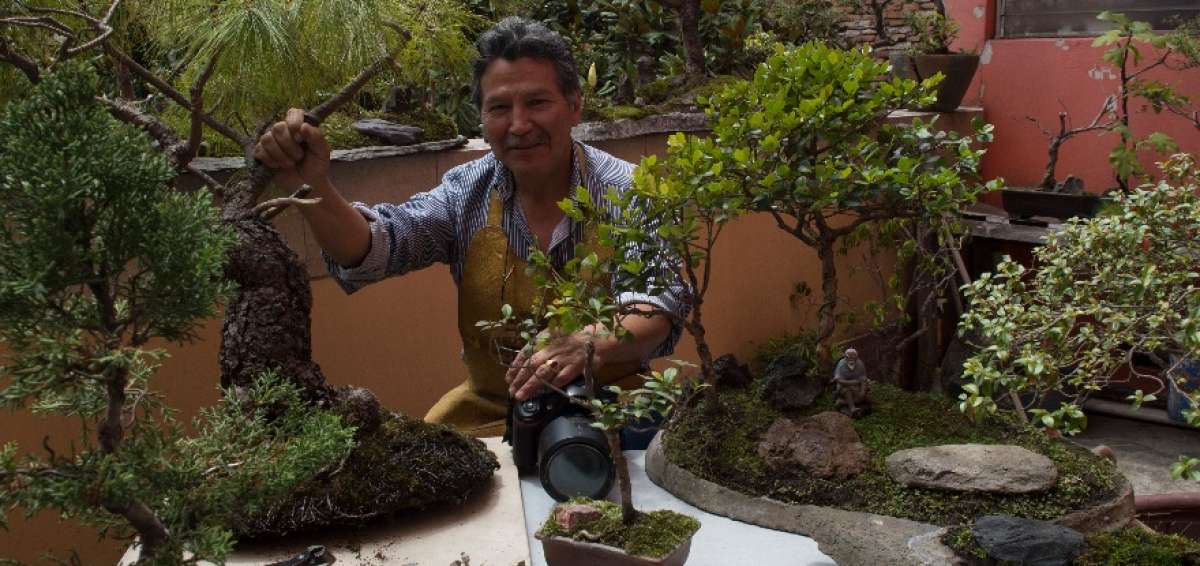 El arte de cultivar bons&aacute;is es otra faceta del fot&oacute;grafo Luis