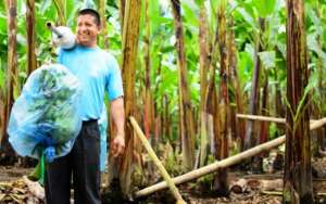 Foto: Cortes&iacute;a Proalimentos 
