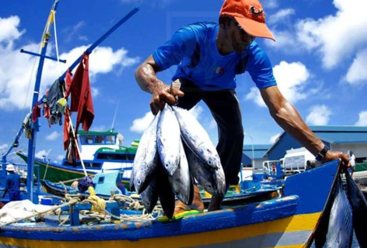 El Telégrafo - Ecuador es referente mundial de pesca sostenible