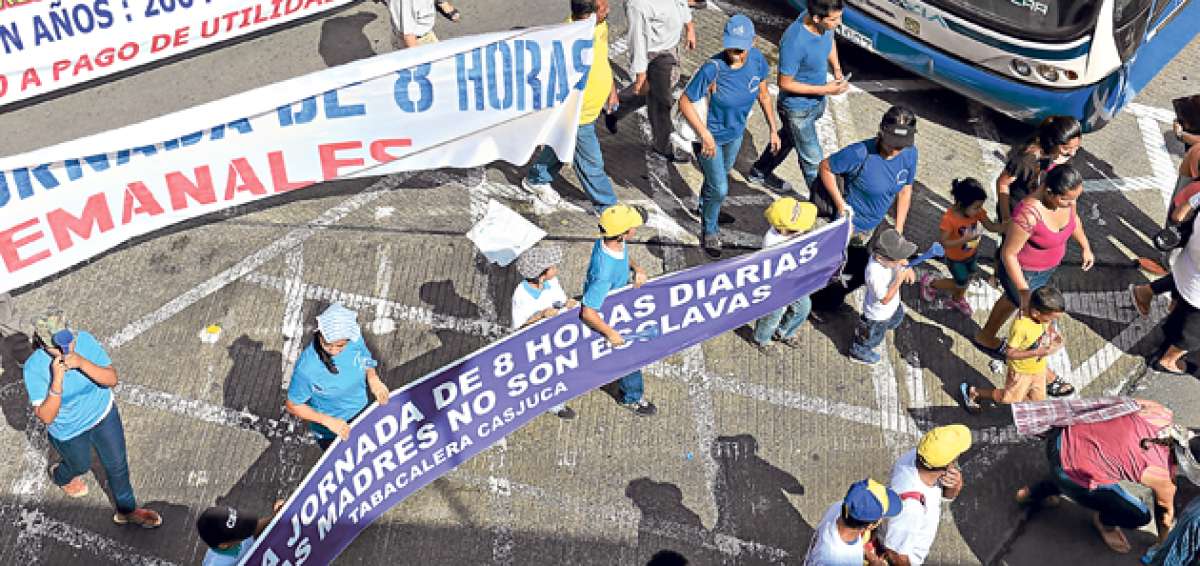 La reforma al Decreto 16 facilita la inscripci&oacute;n de las organizaciones sociales de Ecuador, porque homologa los requisitos que necesita cada entidad. Foto: Archivo