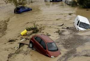 Refugios de animales claman ayuda por inundaciones en Valencia