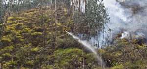 La sequ&iacute;a provoc&oacute; que se incrementen los incendios forestales en las regiones centro y sur de Ecuador.