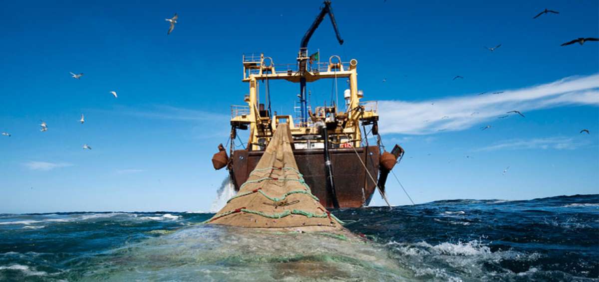 Para el Fondo Mundial para la Naturaleza, la pesca ilegal es un delito ambiental que requiere decisi&oacute;n pol&iacute;tica y coordinaci&oacute;n para contrarrestarla.