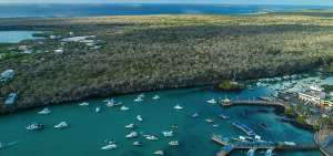 En 1959 se cre&oacute; el Parque Nacional para preservar el 97% de su superficie terrestre, y en 1978 la Unesco declar&oacute; al archipi&eacute;lago Patrimonio Natural de la Humanidad.
