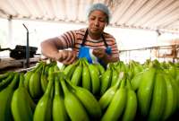 El precio se fijará en base a costos presentados por el sector bananero.