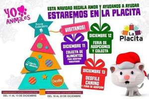Colecta de balanceado y desfile canino a favor de animales rescatados