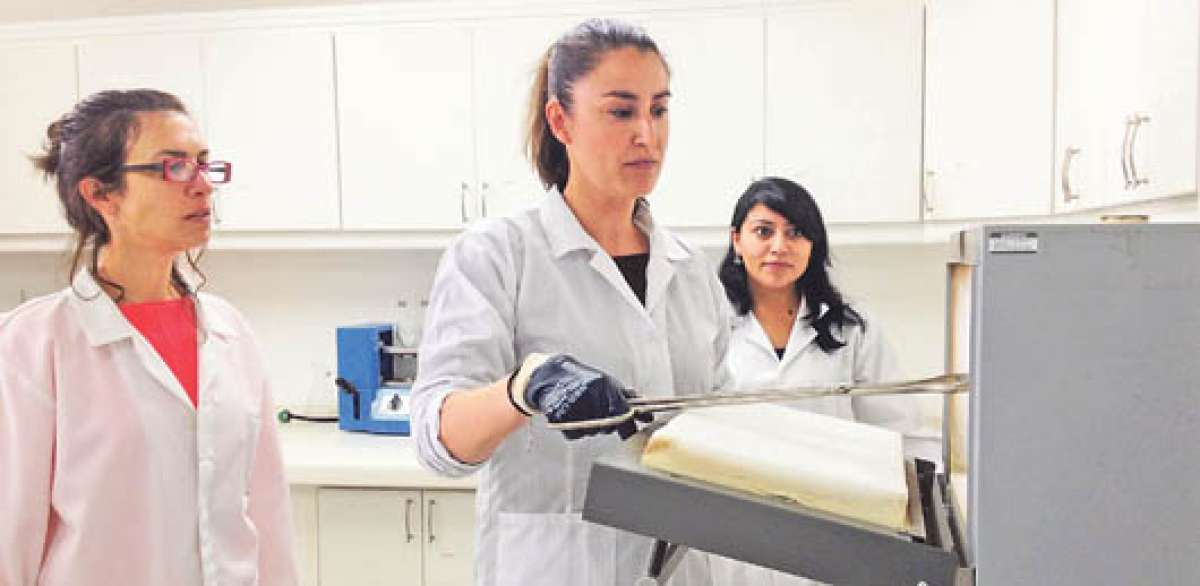 La argentina Juliana Gamboa (izq.) y la espa&ntilde;ola Gloria Serranos se encuentran en uno de los laboratorios de la facultad de Ciencia e Ingenier&iacute;a en Alimentos de la UTA, de Ambato. Foto: Jos&eacute; Miguel Castillo.