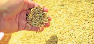 El MAG impulsa un plan de acci&oacute;n para ayudar al agro nacional
