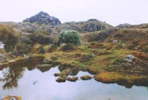 Gobierno revoca la licencia ambiental del proyecto minero Loma Larga tras informes de Cuenca y Azuay