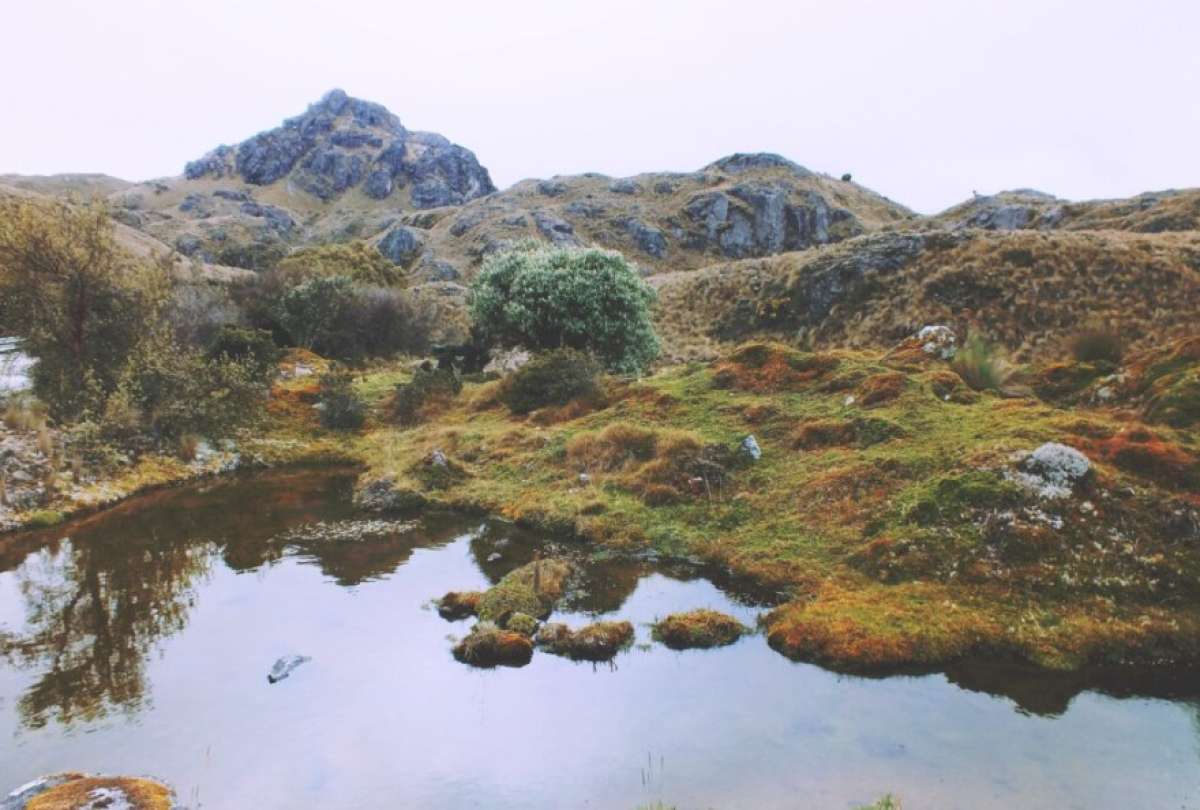 Gobierno revoca la licencia ambiental del proyecto minero Loma Larga tras informes de Cuenca y Azuay