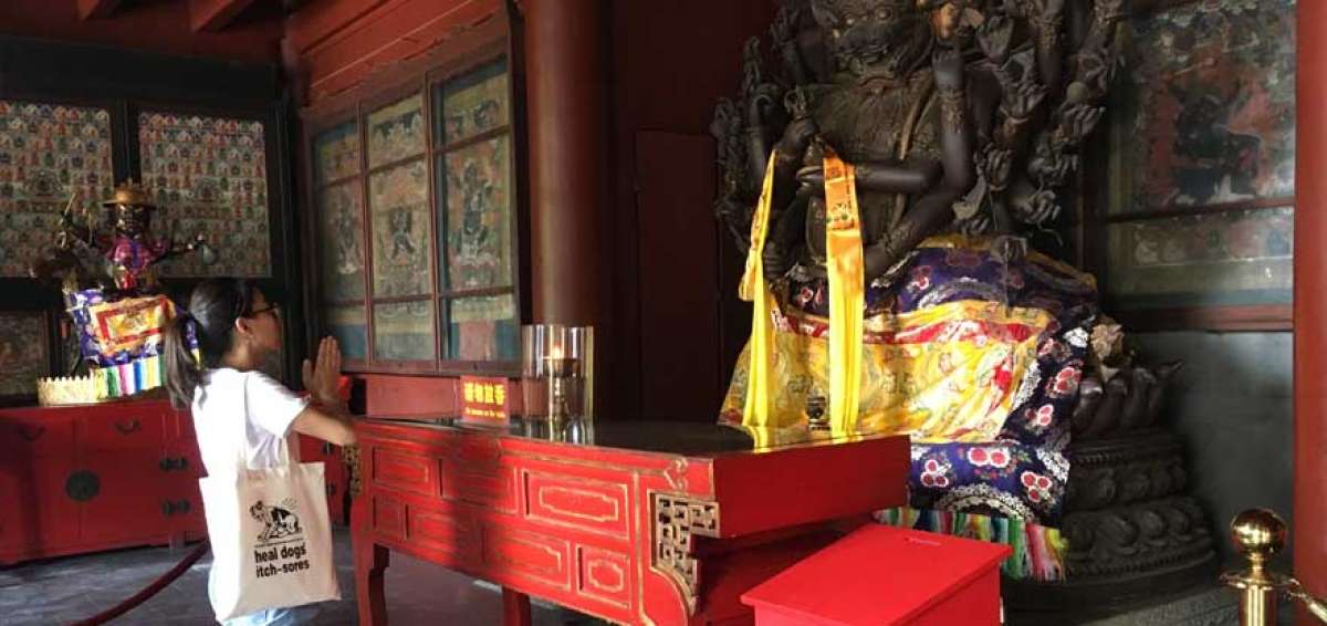El Buda gigante a&uacute;n deslumbra en China
