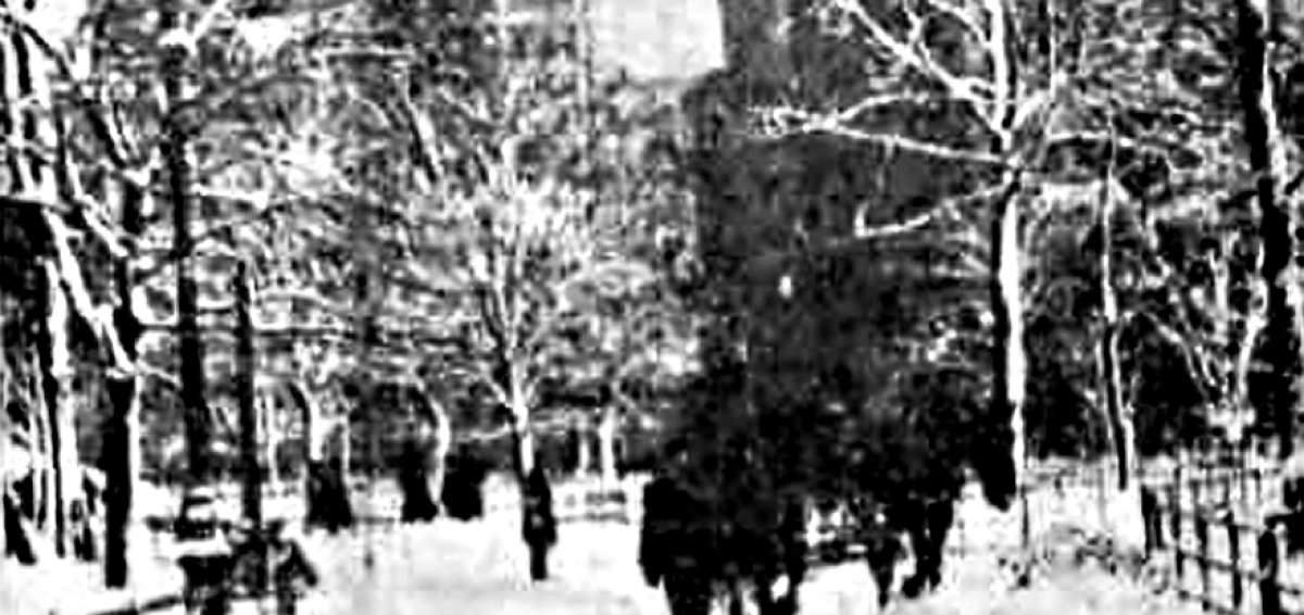 New York amaneci&oacute; cubierto de nieve