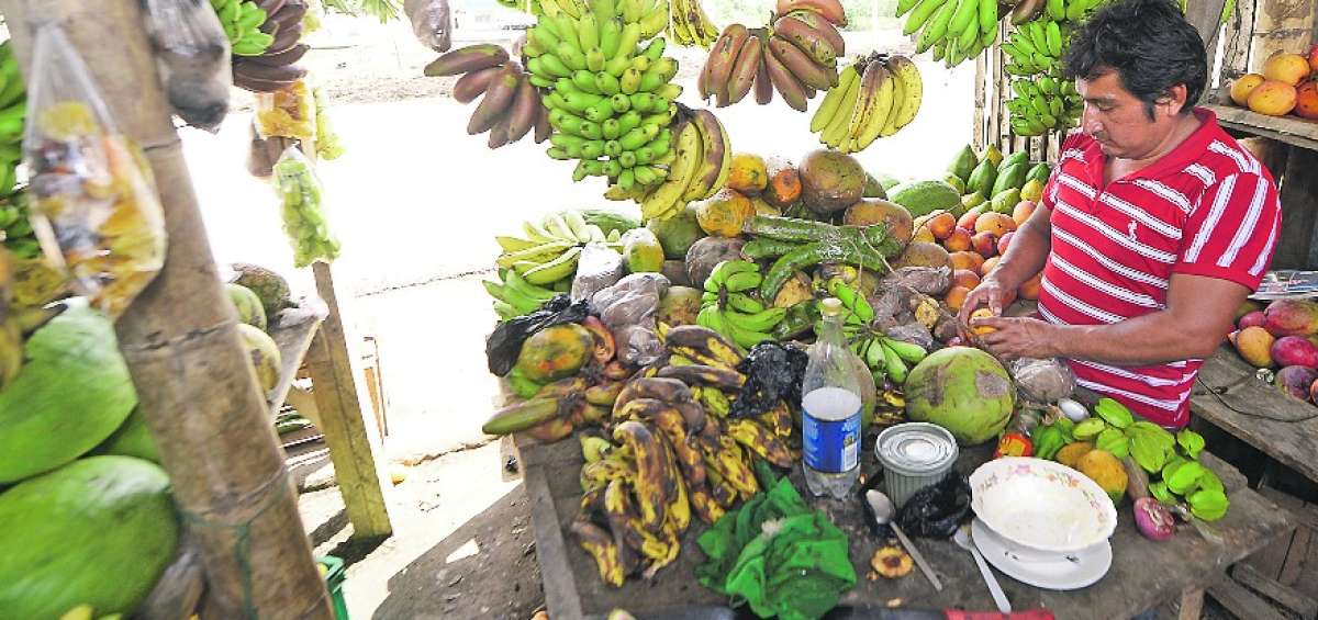 La diversidad de las frutas y sus colores resaltan a la vista de los conductores de esta v&iacute;a de la provincia.