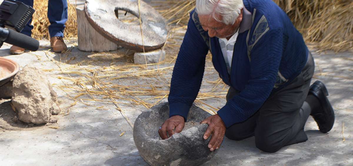 La m&aacute;chica, tambi&eacute;n conocida como harina de cebada, se obtiene de la molienda de los granos tostados de la cebada andina, cultivada en los cerros de las provincias de Cotopaxi, Chimborazo y Tungurahua. 