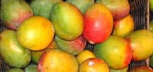 En el Ecuador hay varios tipos de mango.