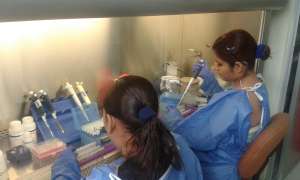2.500 pruebas para chikungunya han sido procesadas en el INSPI