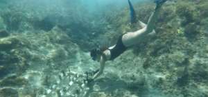Las llamadas redes "fantasma" o abandonadas causan m&aacute;s riesgo de muerte en especies marinas. Se lanz&oacute; una campa&ntilde;a en favor de oc&eacute;anos libres de pl&aacute;sticos..