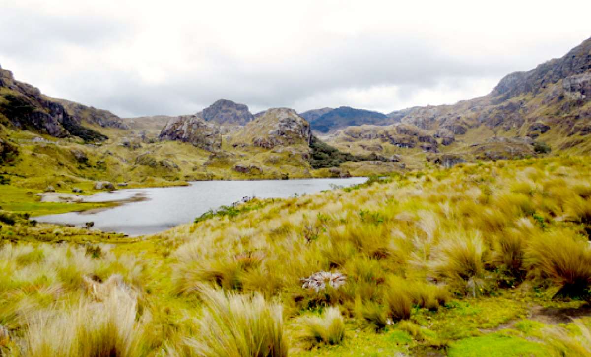 Las lagunas son uno de los mayores tesoros de El Cajas