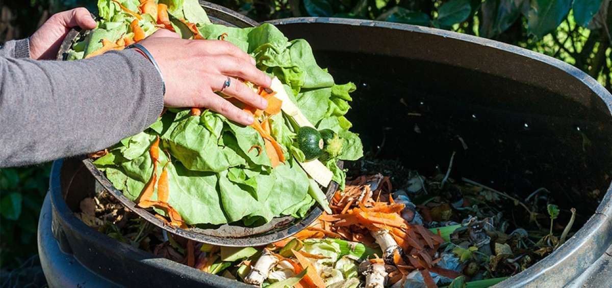 Desperdicio de alimentos genera hambre mundial