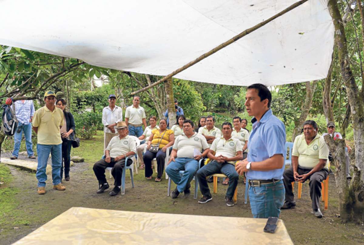 Agricultores de Naranjito entregaron el a&ntilde;o pasado 300 toneladas de cacao a la multinacional Nestl&eacute;. Foto: William Orellana.