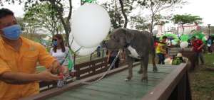 Municipio de Guayaquil inaugur&oacute; un &aacute;rea canina