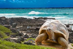 Galápagos, un lugar para visitar por sus 488 años de descubrimiento