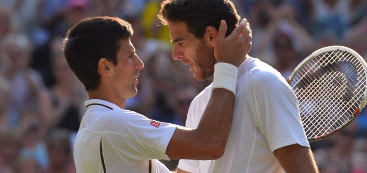 Djokovic tiene un r&eacute;cord de 11 victorias por 3 derrotas contra Del Potro.