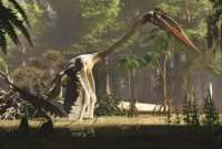 Hallan restos de un dinosaurio que vivió hace 100 millones de años en Australia