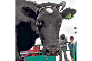 Productores ganaderos reciben capacitaci&oacute;n
