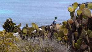 El objetivo del equipo este a&ntilde;o es recopilar im&aacute;genes de 360 grados en una serie de localidades a trav&eacute;s de las islas de Seymour, Santa Cruz, Pinz&oacute;n, Isabela, Floreana y Espa&ntilde;ola. Foto:  @parquegalapagos 