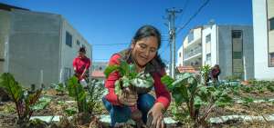 Los residentes de San Francisco de Huarcay cosechan productos org&aacute;nicos y promueven la alimentaci&oacute;n saludable.