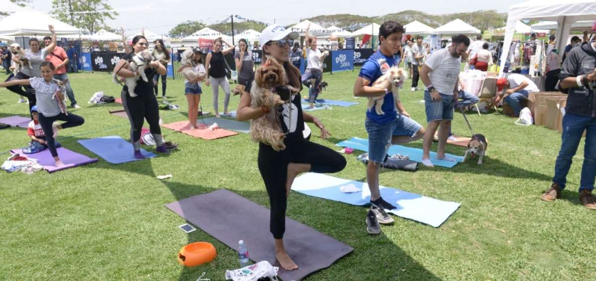 Docenas de personas participaron en el evento con sus mascotas y conocieron las bondades del doga .
