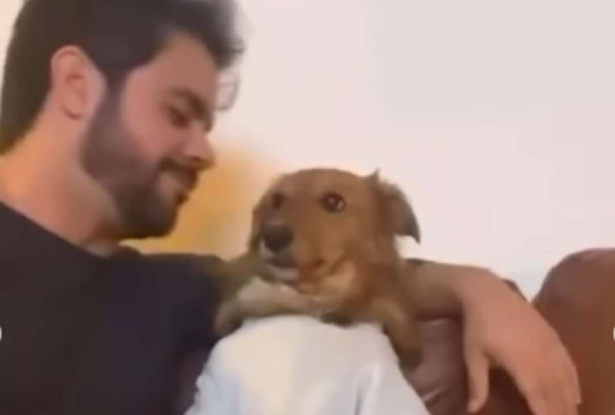 Un perro rescatado recibi&oacute; un beso que cambio totalmente su historia.