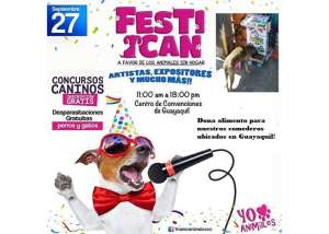Grupo de ayuda animal realizar&aacute; el Festican para recaudar fondos