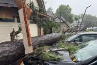 En Texas hay más de 100 muertos y decenas de desaparecidos. Un video muestra cómo una vivienda, con un gato dentro, flotó por el río Guadalupe y chocó contra un puente durante las inundaciones.