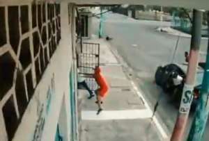 Una persona fue salvada por sus perros