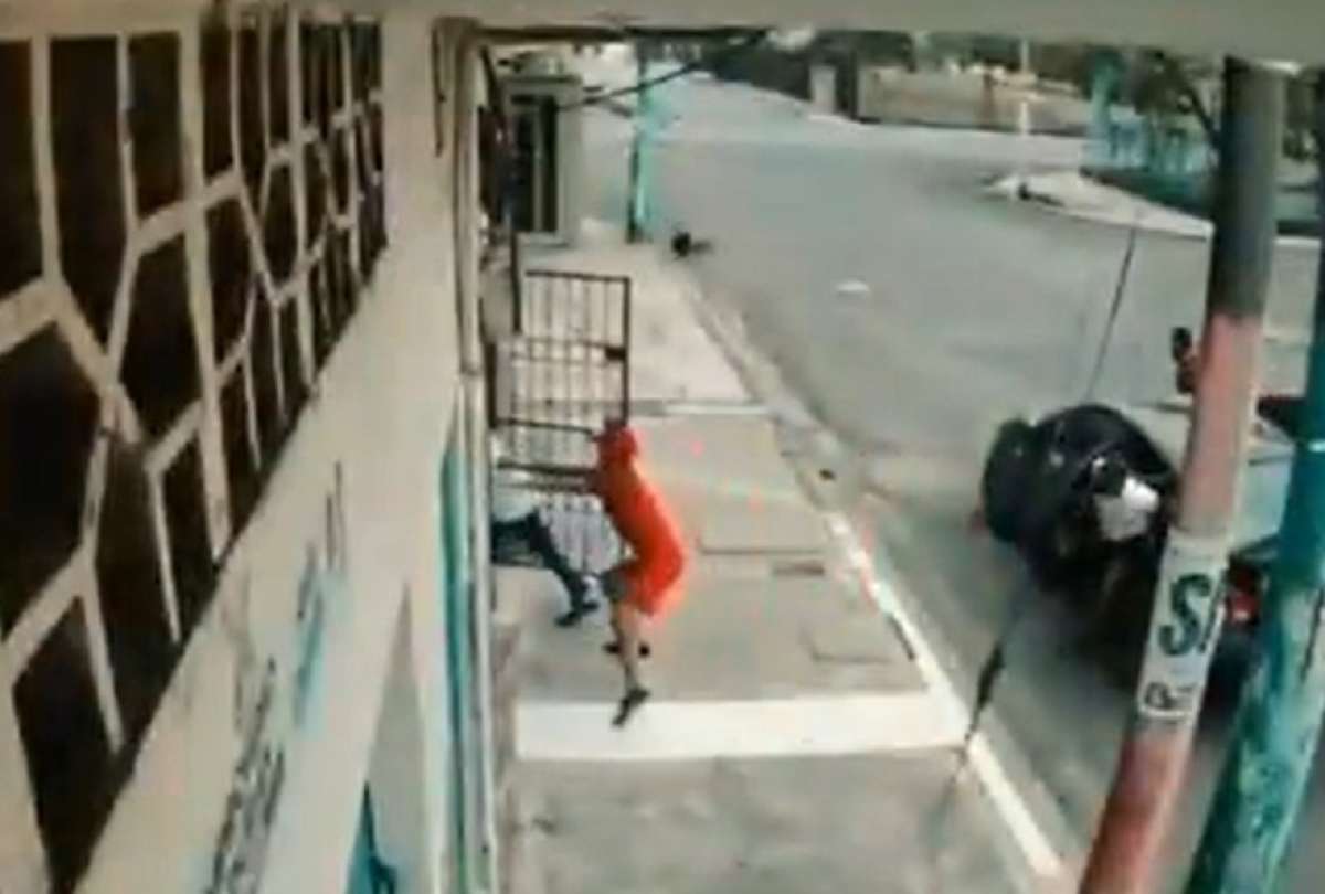 Una persona fue salvada por sus perros