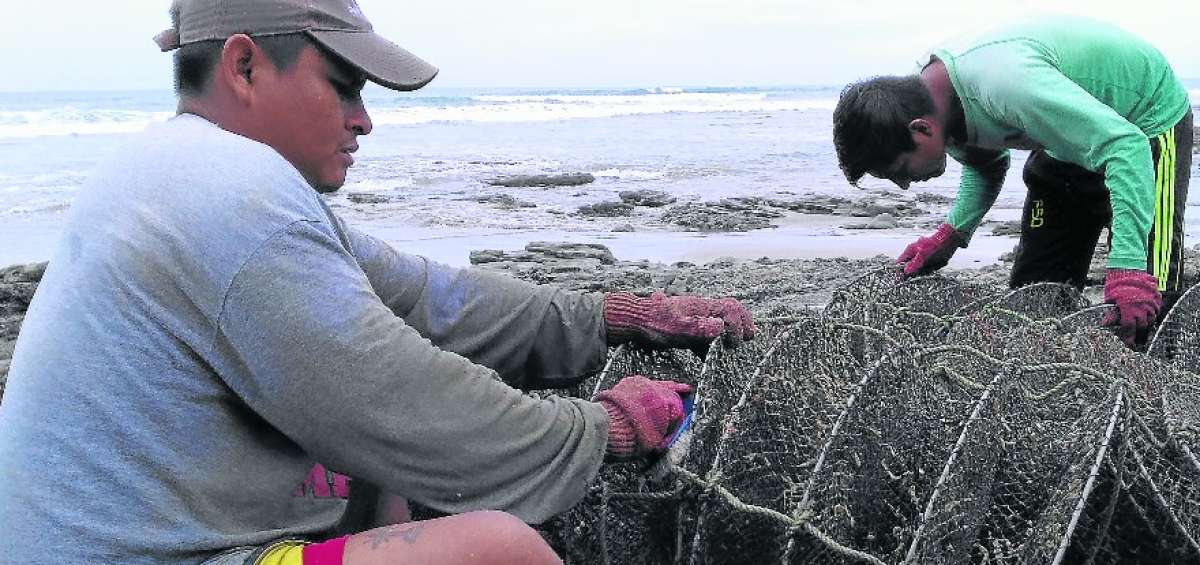 Asociaci&oacute;n pesquera de Santa Elena se une al proyecto de maricultura