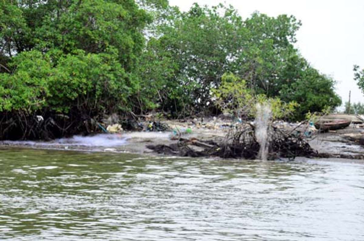 Autoridades de Machala recorrieron el estero para verificar la contaminaci&oacute;n que presenta este sitio. Foto: Fabricio Cruz.