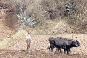 Agricultura y ganader&iacute;a, 2 sectores fuertes en la provincia de Tungurahua, forman parte del Parlamento Trabajo y presentar&aacute;n sus planes para el periodo 2014-2015. Foto: Roberto Ch&aacute;vez│El Tel&eacute;grafo