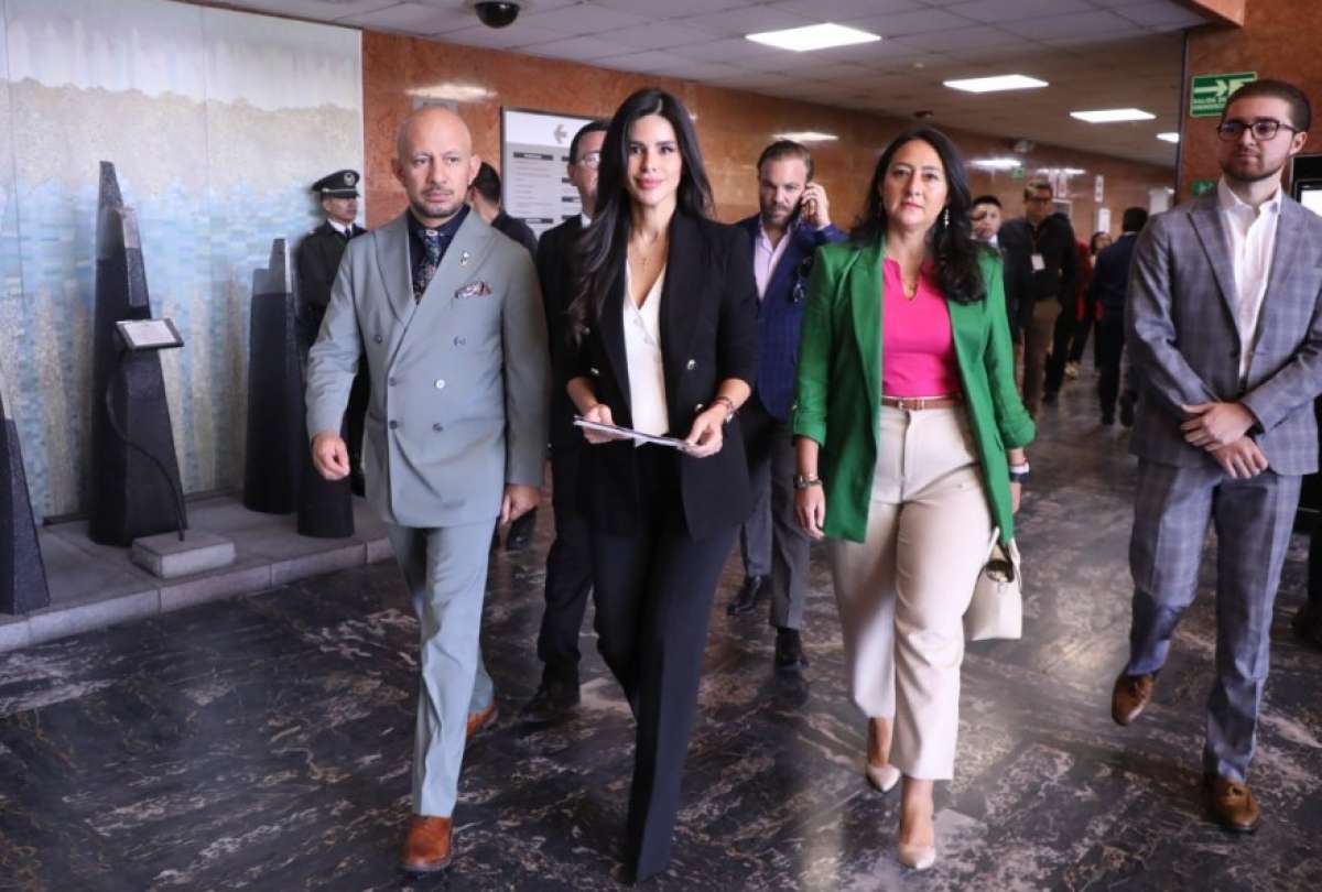 La asamble&iacute;sta Diana J&aacute;come se refiri&oacute; a la fiscalizaci&oacute;n de la campa&ntilde;a de la Revoluci&oacute;n Ciudadana y el caso Caja Chica. 