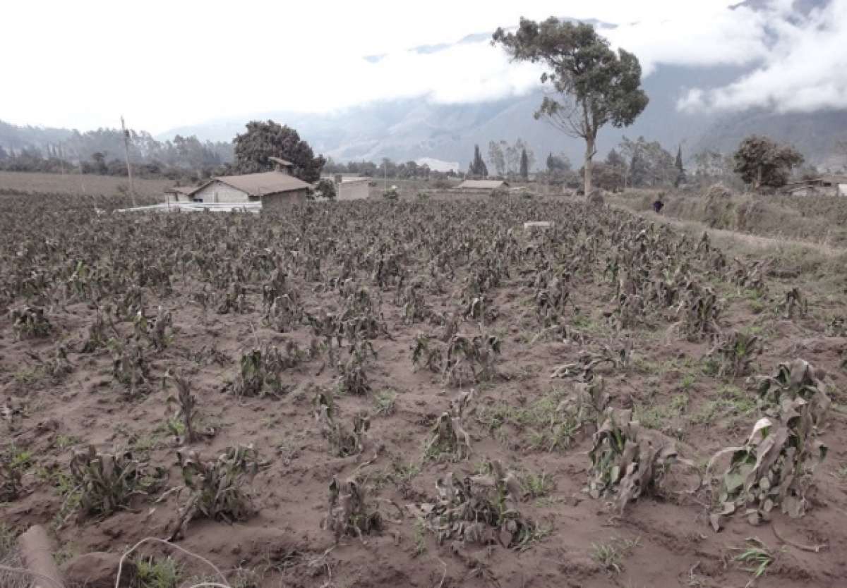 Se reporta la ca&iacute;da de ceniza en varias localidades. Foto: Archivo 