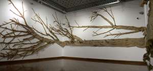 Instalaci&oacute;n &Aacute;rbol de caucho, del artista Alberto Baraya, en la cual expone una muestra de la naturaleza de la Amazon&iacute;a, y su importancia en el ambiente. 