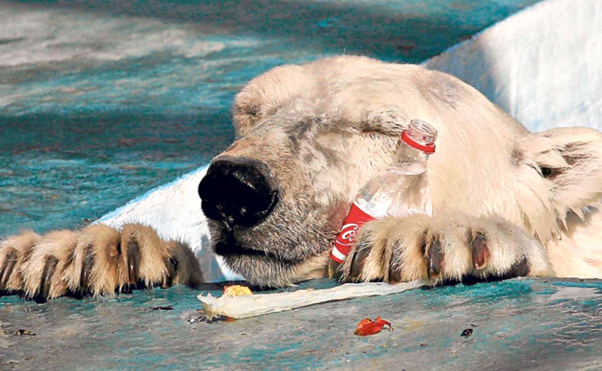 La bebida gaseosa, que naci&oacute; como una medicina, es una de las marcas de mayor valor del mundo y uno de los mayores sponsors deportivos del planeta. Foto: Archivo/El Tel&eacute;grafo
