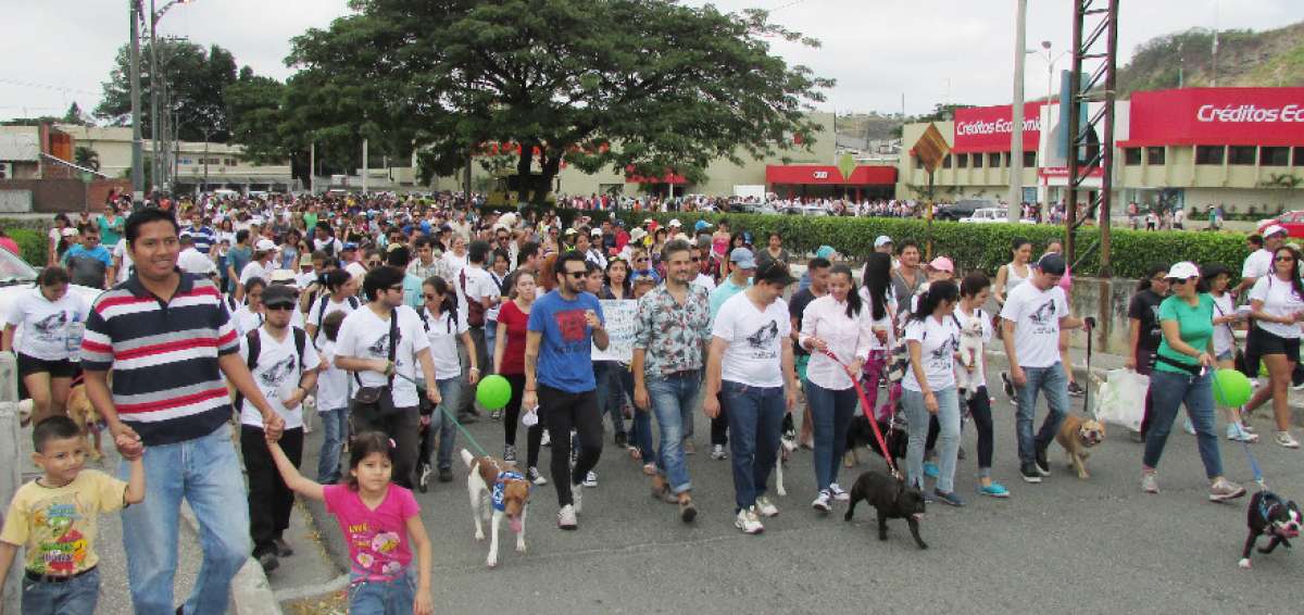 En 2015 se cumpli&oacute; una marcha animalista que recorri&oacute; las calles de Urdesa y tuvo gran asistencia.